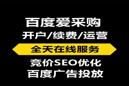 成功SEM代理案例：精准投放的策略
